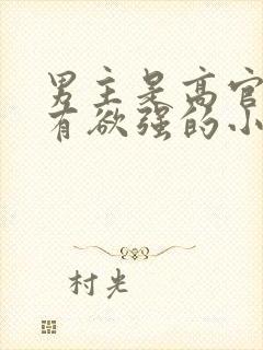 男主是高官且占有欲强的小说
