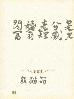 闪婚老公是亿万富翁短剧免费观看