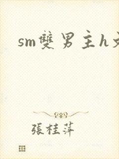 sm双男主h文封面