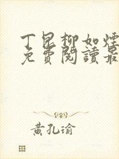 丁昆柳如烟小说免费阅读最新章节