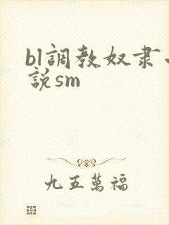 bl调教奴隶小说sm