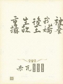 重生后我被反派摄政王娇养了
