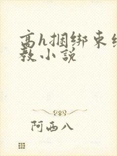 高h捆绑束缚调教小说