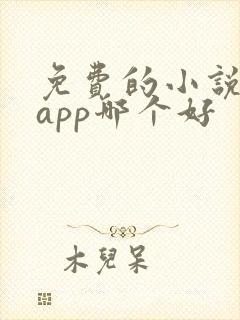 免费的小说阅读app哪个好