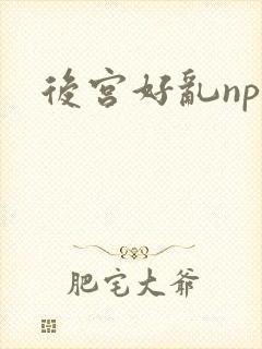 后宫好乱np