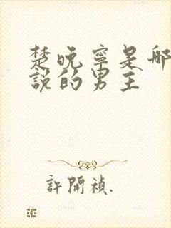楚晚宁是哪部小说的男主