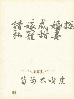 错嫁成婚总裁的私宠甜妻