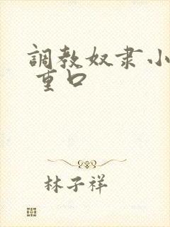 调教奴隶小说虐 重口