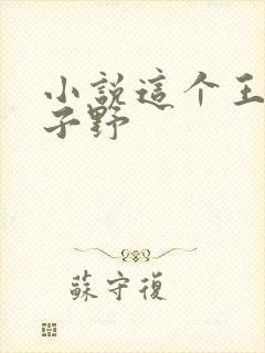 小说这个王妃路子野封面