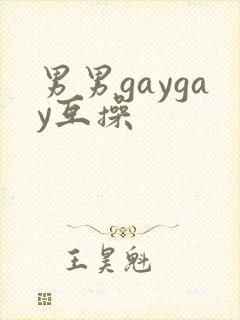 男男gaygay互操封面