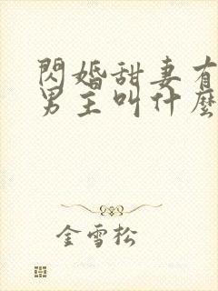 闪婚甜妻有点野男主叫什么封面
