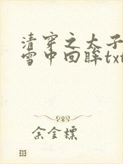 清穿之太子娇妃雪中回眸txt