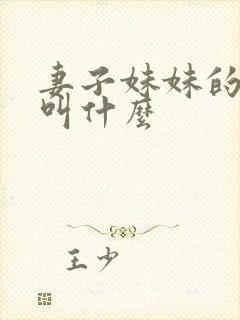 妻子妹妹的老公叫什么