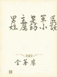 男主是军区首长姓厉的小说