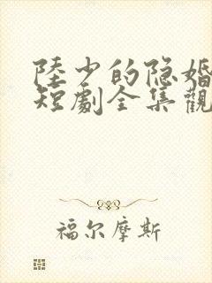 陆少的隐婚罪妻短剧全集观看