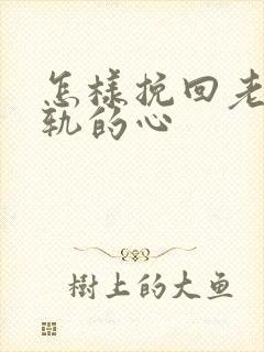 怎样挽回老婆出轨的心封面