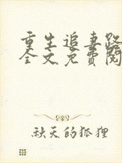 重生追妻路漫漫全文免费阅读封面