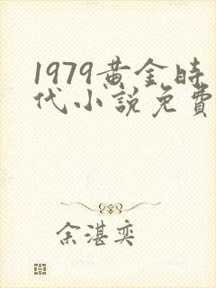 1979黄金时代小说免费下载封面