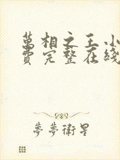万相之王小说免费完整在线阅读