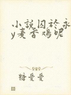 小说囚于永夜by麦香鸡呢封面