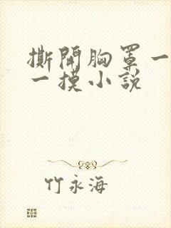 撕开胸罩一边亲一摸小说