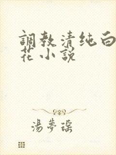 调教清纯白色校花小说封面