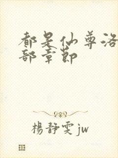 都是仙尊洛尘全部章节封面