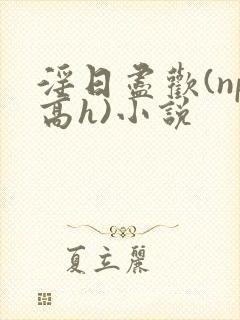 淫日尽欢(np高h)小说