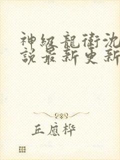 神级龙卫沈浪小说最新更新封面