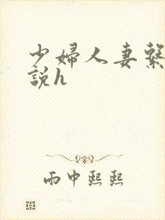 少妇人妻系列小说h
