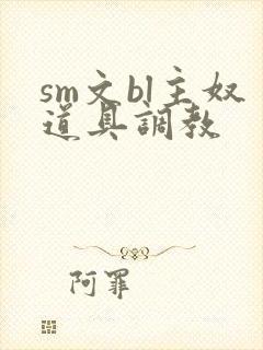 sm文bl主奴道具调教