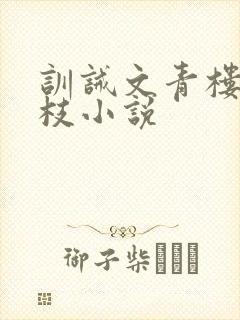 训诫文青楼打花枝小说