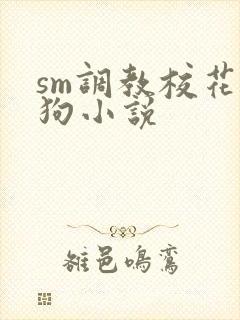 sm调教校花母狗小说