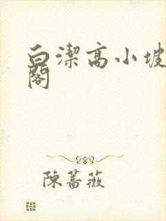白洁高小坡笔趣阁