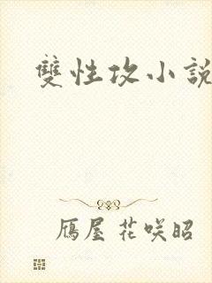 双性攻小说高h