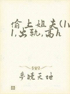 偷上姐夫(1v1,出轨,高h