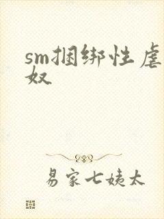 sm捆绑性虐女奴