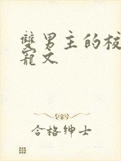 双男主的校园甜宠文