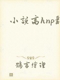小说高hnp乱