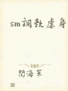 sm调教虐身文封面