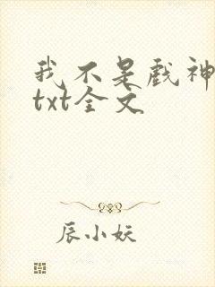 我不是戏神小说txt全文