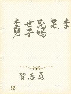 李世民是李渊的儿子吗封面
