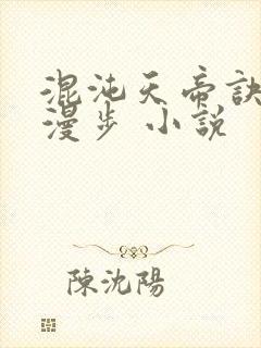 混沌天帝诀随风漫步 小说