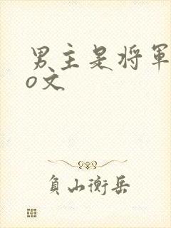 男主是将军的po文