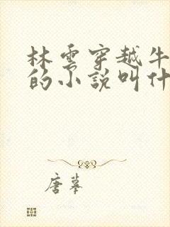 林云穿越牛背山的小说叫什么名字
