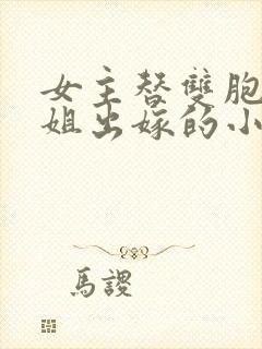 女主替双胞胎姐姐出嫁的小说