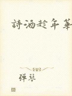 诗酒趁年华小说
