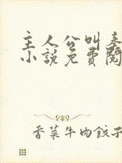 主人公叫秦初的小说免费阅读