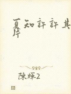 夏知许许其琛图片封面