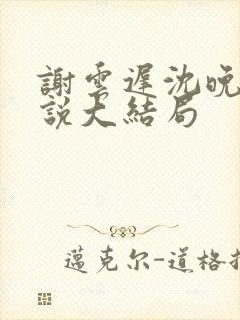 谢云迟沈晚梨小说大结局